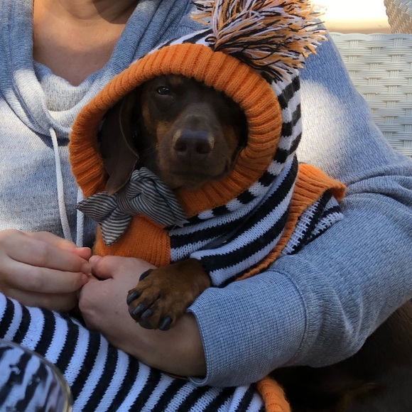 Meet your Posher, Robert - Picture 2 of 3